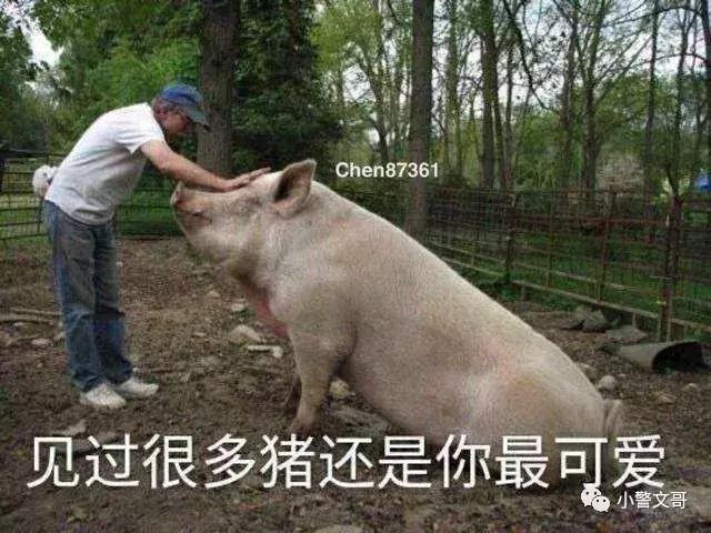 黄石最新疫情动态及观点论述