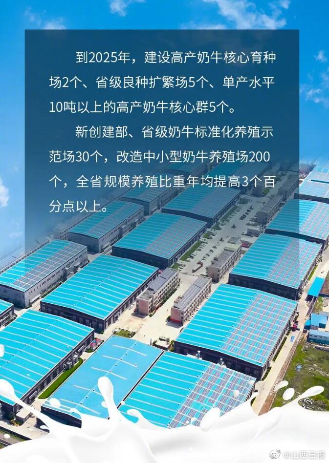 最新牛场建设与管理，一步步指南助你成功打造现代化牛场