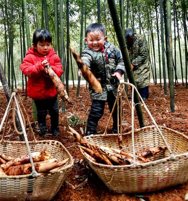 最新绵绵电影，引领影视时尚风潮