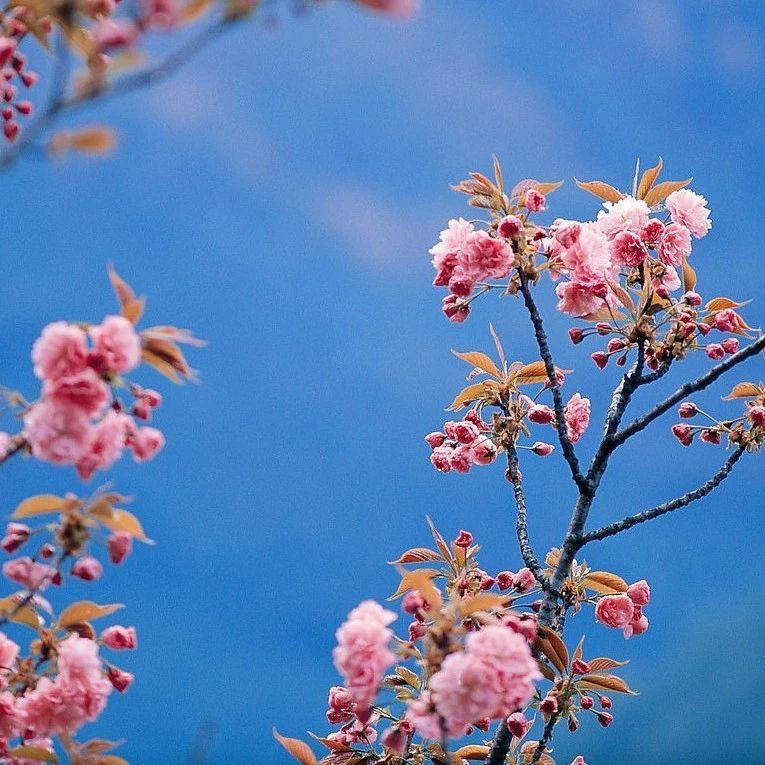 春暖花开之际，最新科技产品引领未来生活璀璨明珠
