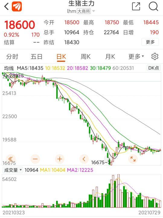 最新猪价格表详解，查询步骤指南与解读（初学者进阶用户必备）