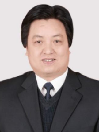铜陵市副市长名单更新，变革力量引领未来自信与成就
