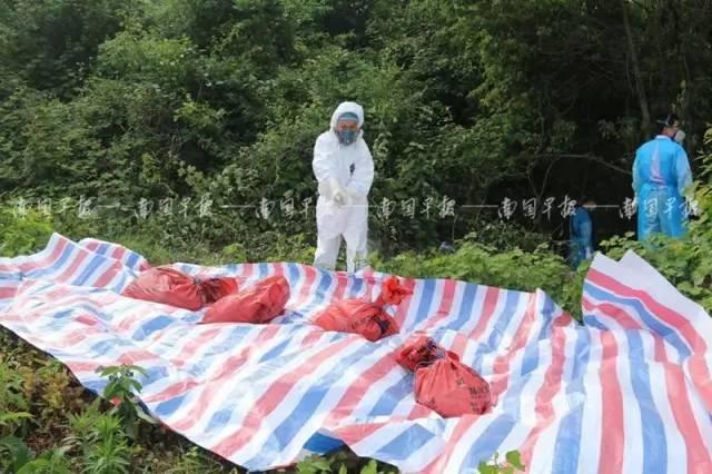 江门杀人案最新动态，邻里温情与友谊的力量，日常故事展现温情力量